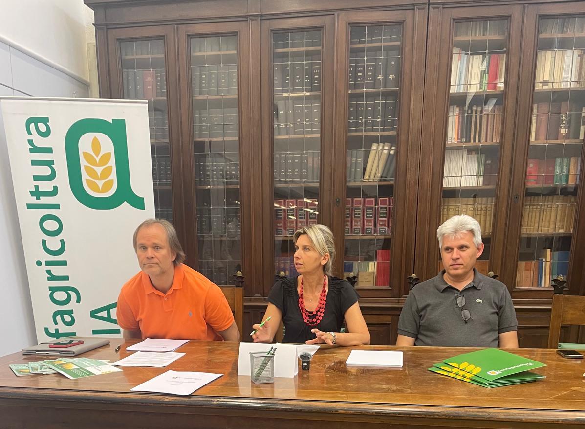 Peste suina, "servono altri aiuti". In due anni persi 150mila esemplari Peste suina, "servono altri aiuti". In due anni persi 150mila esemplari