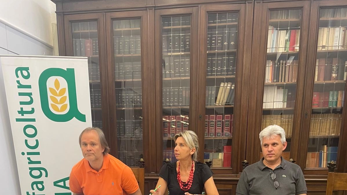 Da sinistra Stefano Lamberti allevatore ed esponente di Confagricoltura la presidente Marta Sempio e il direttore Alberto Lasagna Da sinistra Stefano Lamberti allevatore ed esponente di Confagricoltura la presidente Marta Sempio e il direttore Alberto Lasagna