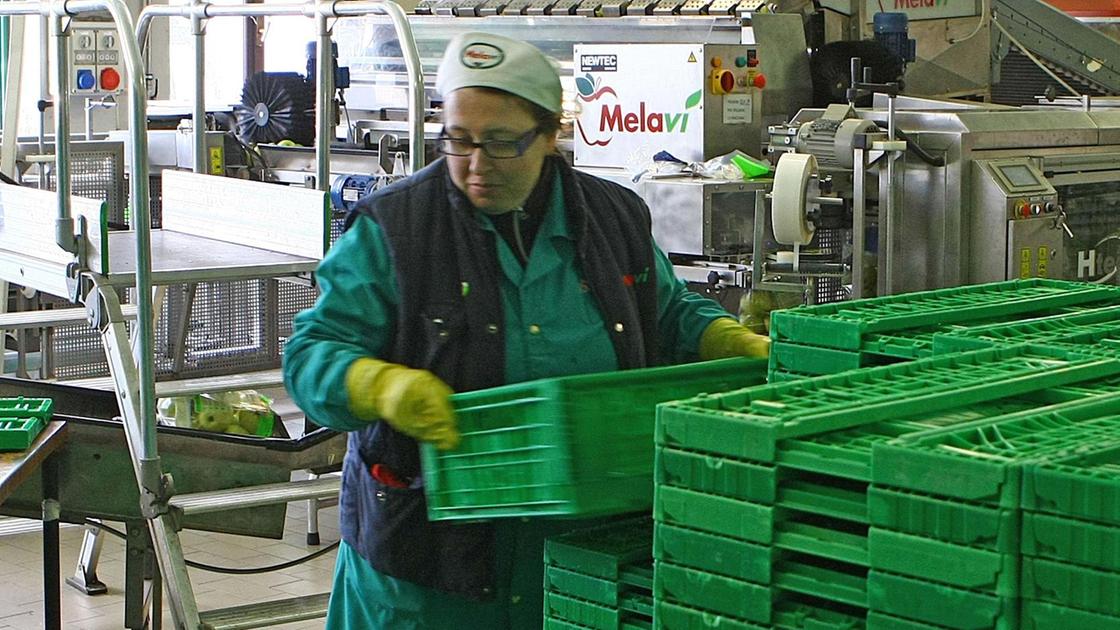 Crisi di Melavì. Il futuro è a un bivio Crisi di Melavì. Il futuro è a un bivio