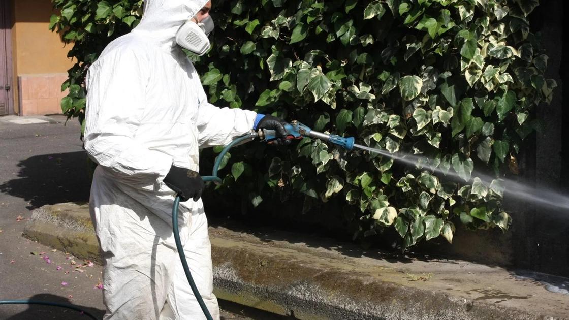 Caso sospetto di Chikungunya. Via alla profilassi Caso sospetto di Chikungunya. Via alla profilassi