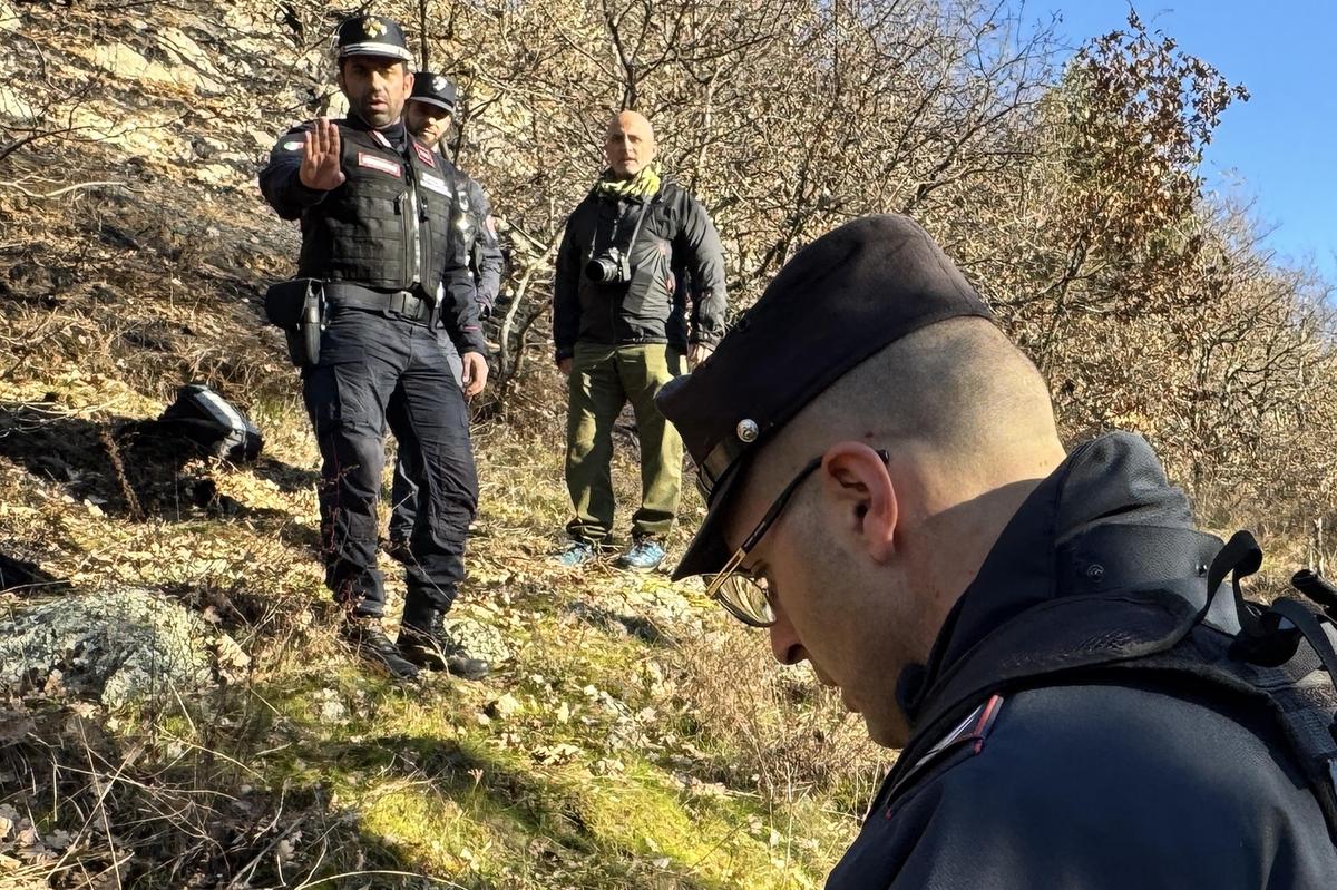 Sondrio, blitz nelle aziende agricole. Quattro fuori legge: sanzioni per 27mila euro Sondrio, blitz nelle aziende agricole. Quattro fuori legge: sanzioni per 27mila euro