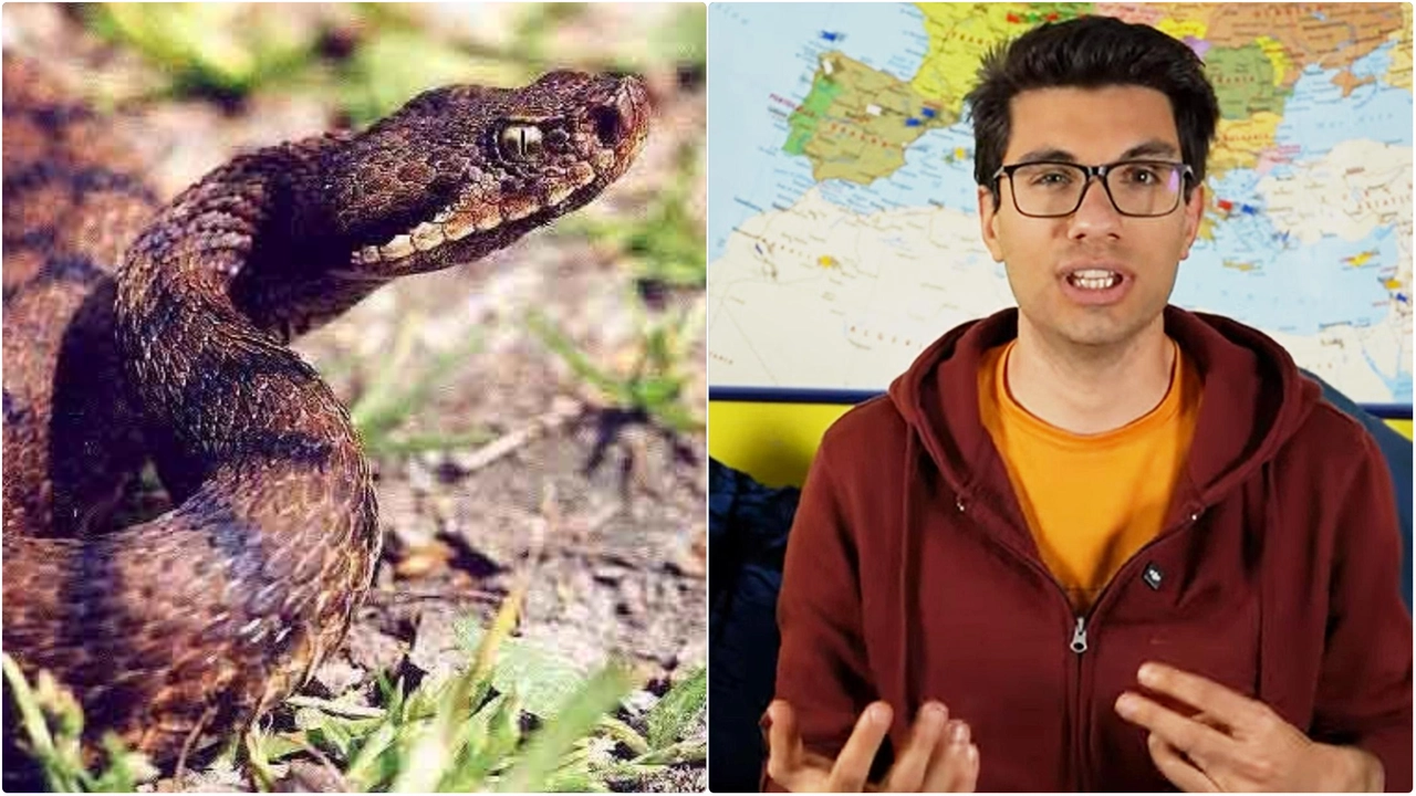 Riccardo Brotto è stato morso da una vipera durante un'arrampicata in montagna: ha mantenuto il sangue freddo, chiamando i soccorsi, ed è stato curato all'ospedale di Como