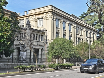 immagine articolo