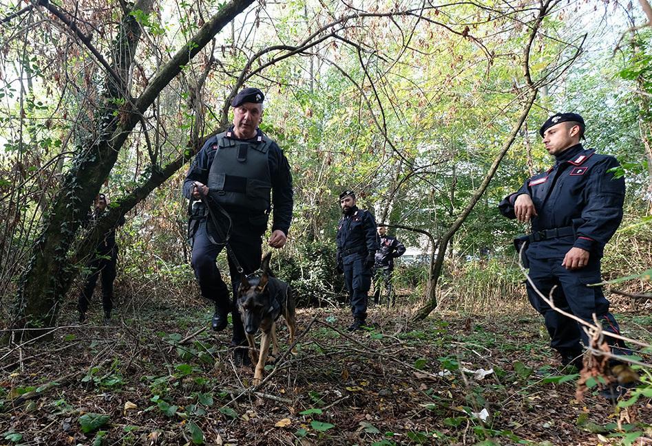 Emergenza Parco Groane. Incendi e spaccio di droga “fuochi” sempre accesi Emergenza Parco Groane. Incendi e spaccio di droga “fuochi” sempre accesi