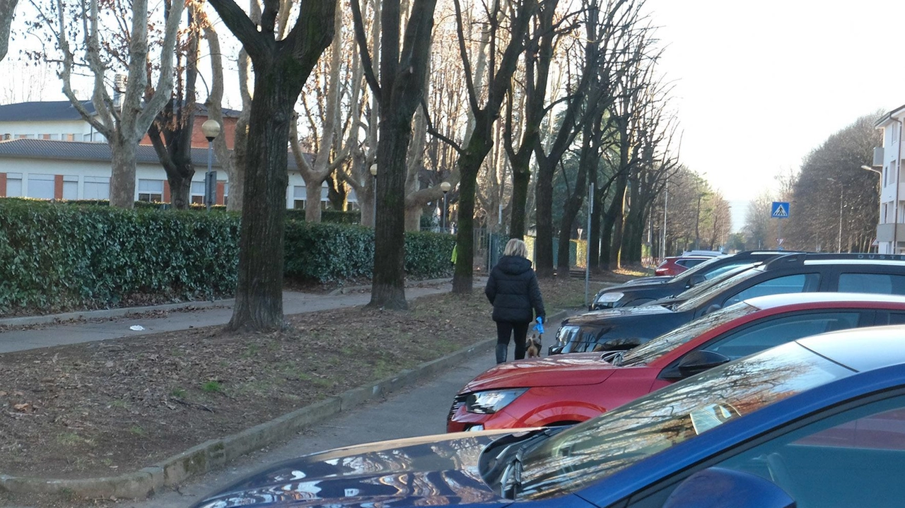 Strade e marciapiedi dissestati, auto che sfrecciano ad alta velocità e zone completamente al buio. I residenti chiedono al Comune di intervenire anche per migliorare la pulizia dei giardini pubblici. Strade e marciapiedi dissestati, auto che sfrecciano ad alta velocità e zone completamente al buio. I residenti chiedono al Comune di intervenire anche per migliorare la pulizia dei giardini pubblici.