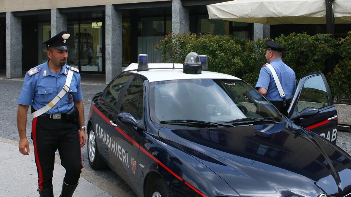 Oltre alla polizia locale sono intervenuti a sirene spiegate anche i carabinieri del Nucleo Radiomobile di Seregno Oltre alla polizia locale sono intervenuti a sirene spiegate anche i carabinieri del Nucleo Radiomobile di Seregno