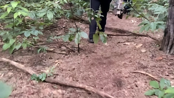 Spacciatore accoltellato nel bosco. Restano in carcere i due carabinieri