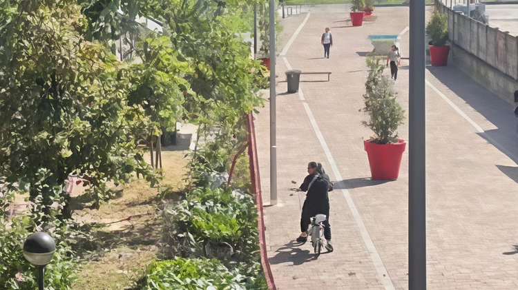 A Crescenzago, Milano, inaugurata la nuova "Piazza aperta" e oasi scolastica per ridurre la vulnerabilità climatica. Progetto Quartieri Resilienti valorizza spazi verdi e socialità, coinvolgendo associazioni locali. In linea con il Piano Aria Clima, l'iniziativa punta al benessere della comunità e alla valorizzazione degli spazi pubblici. A Crescenzago, Milano, inaugurata la nuova "Piazza aperta" e oasi scolastica per ridurre la vulnerabilità climatica. Progetto Quartieri Resilienti valorizza spazi verdi e socialità, coinvolgendo associazioni locali. In linea con il Piano Aria Clima, l'iniziativa punta al benessere della comunità e alla valorizzazione degli spazi pubblici.