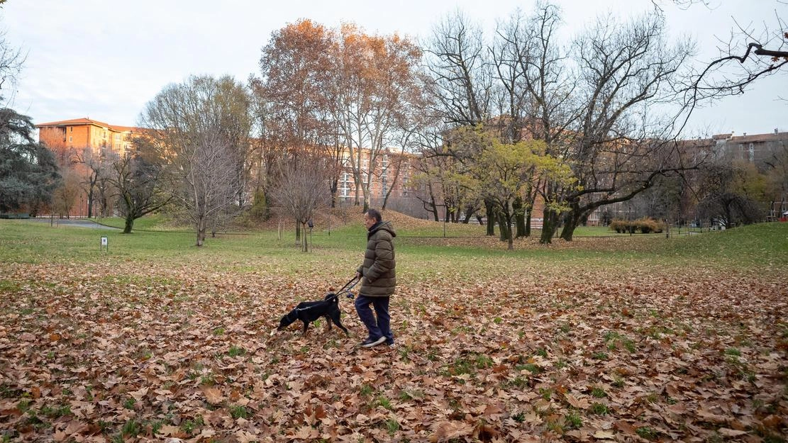 Un giardino immerso tra i palazzoni di via Feltre e via Rombon. Una vasta distesa di verde solcata da... Un giardino immerso tra i palazzoni di via Feltre e via Rombon. Una vasta distesa di verde solcata da...