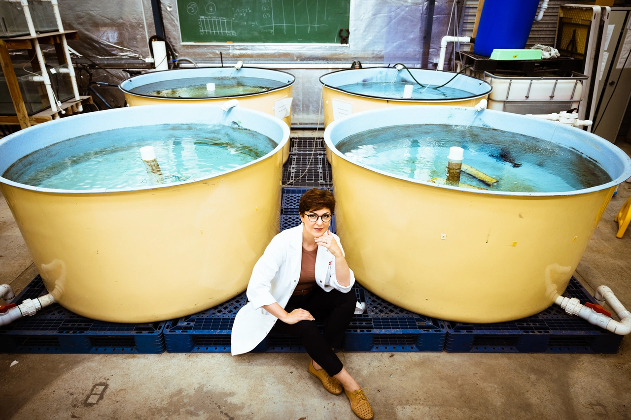 Paola Magni, entomologa forense: da Torino all'Australia