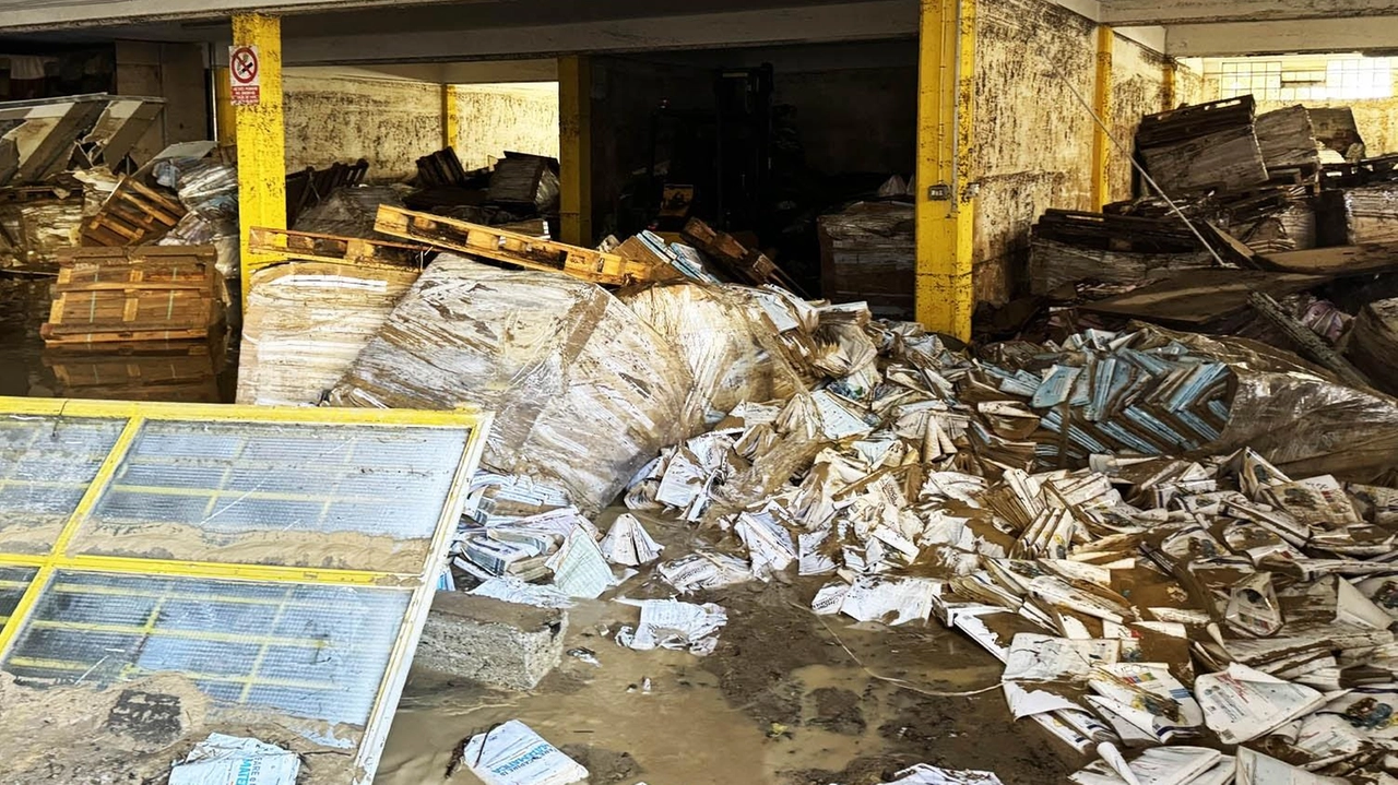 Magazzino allagato mette in ginocchio Editrice San Marco, leader nell'editoria scolastica. Nonostante i danni, la casa editrice si impegna a spedire libri disponibili, ristampe e copie digitali per docenti e studenti. Resilienza e sostegno per superare l'avversità. Magazzino allagato mette in ginocchio Editrice San Marco, leader nell'editoria scolastica. Nonostante i danni, la casa editrice si impegna a spedire libri disponibili, ristampe e copie digitali per docenti e studenti. Resilienza e sostegno per superare l'avversità.
