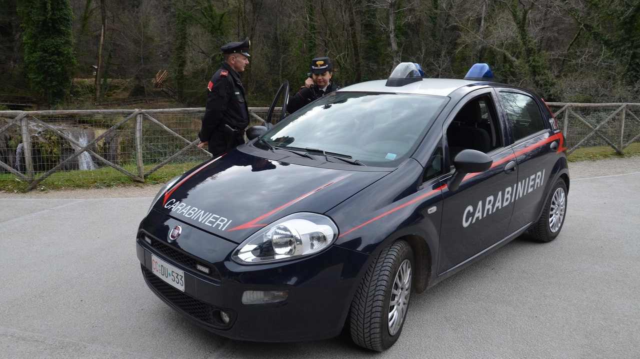 Carabinieri in azione (foto di archivio)