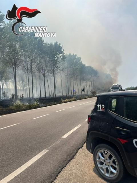 Incendio a Bagnolo San Vito, bruciano sterpaglie: malore per un vigile del fuoco al lavoro Incendio a Bagnolo San Vito, bruciano sterpaglie: malore per un vigile del fuoco al lavoro
