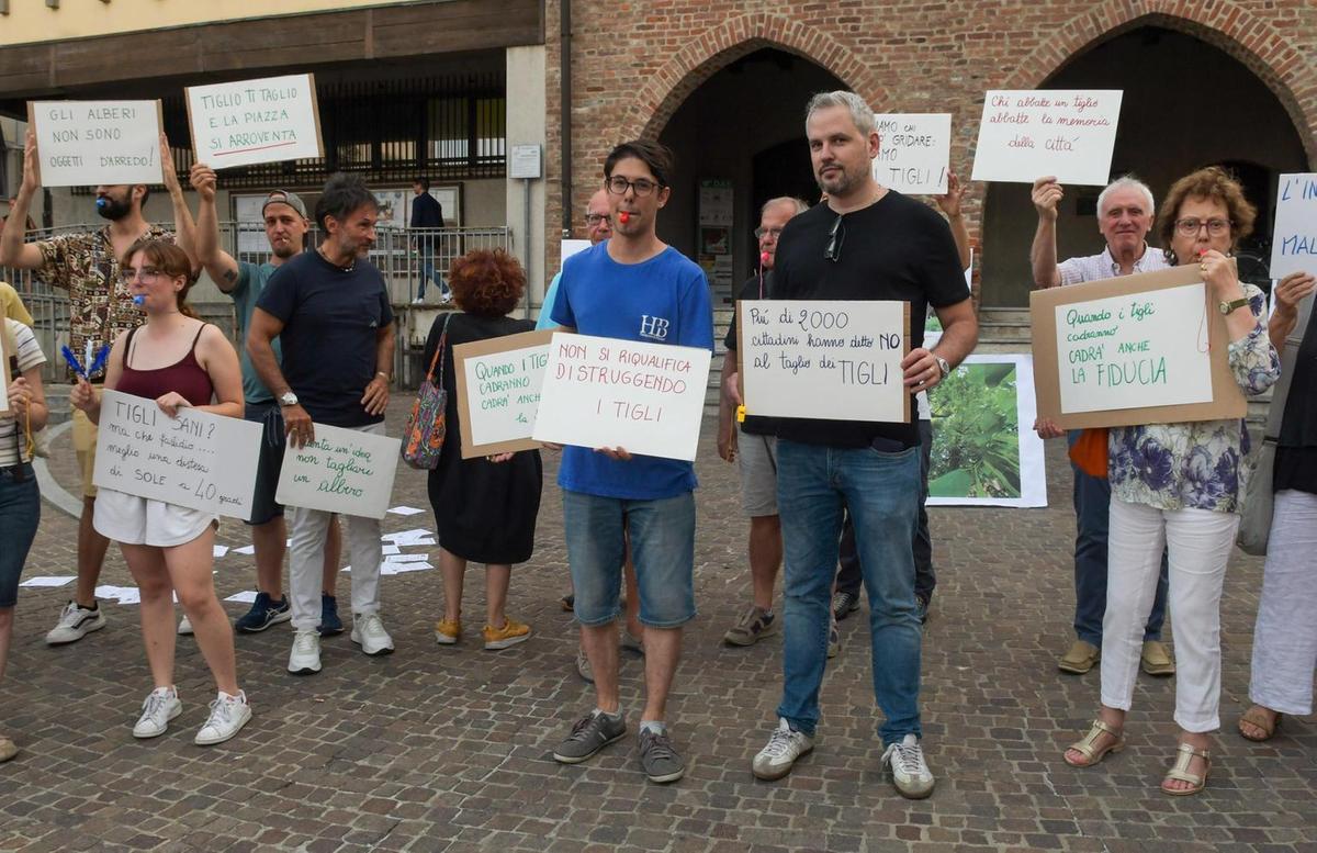 tiglio non ti taglio raccolta fondi al via per le spese del ricorso al tar