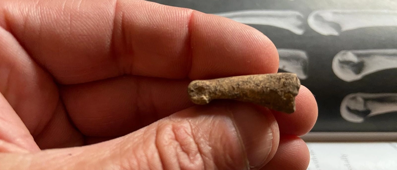 Scoperta storica nel Bresciano, spunta una falange: è l’unico resto umano di Neanderthal in Lombardia