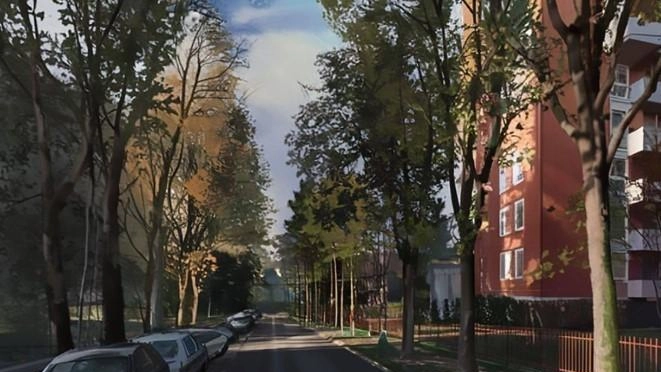 Alberi e posti auto “sacrificati“ per costruire una pista ciclopedonale