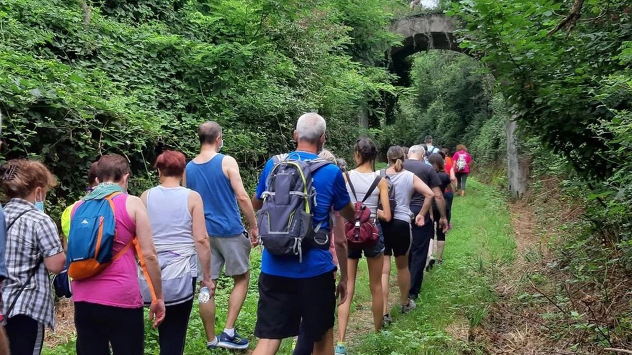 Dall’Anello della Gagiada a Lambro e torrenti, dal Rossini Art Site all’albero monumentale più noto sui social. Proposte di escursioni per tutti i gusti e tutte le gambe con la guida cartacea e online di Enjoy Briosco. Dall’Anello della Gagiada a Lambro e torrenti, dal Rossini Art Site all’albero monumentale più noto sui social. Proposte di escursioni per tutti i gusti e tutte le gambe con la guida cartacea e online di Enjoy Briosco.