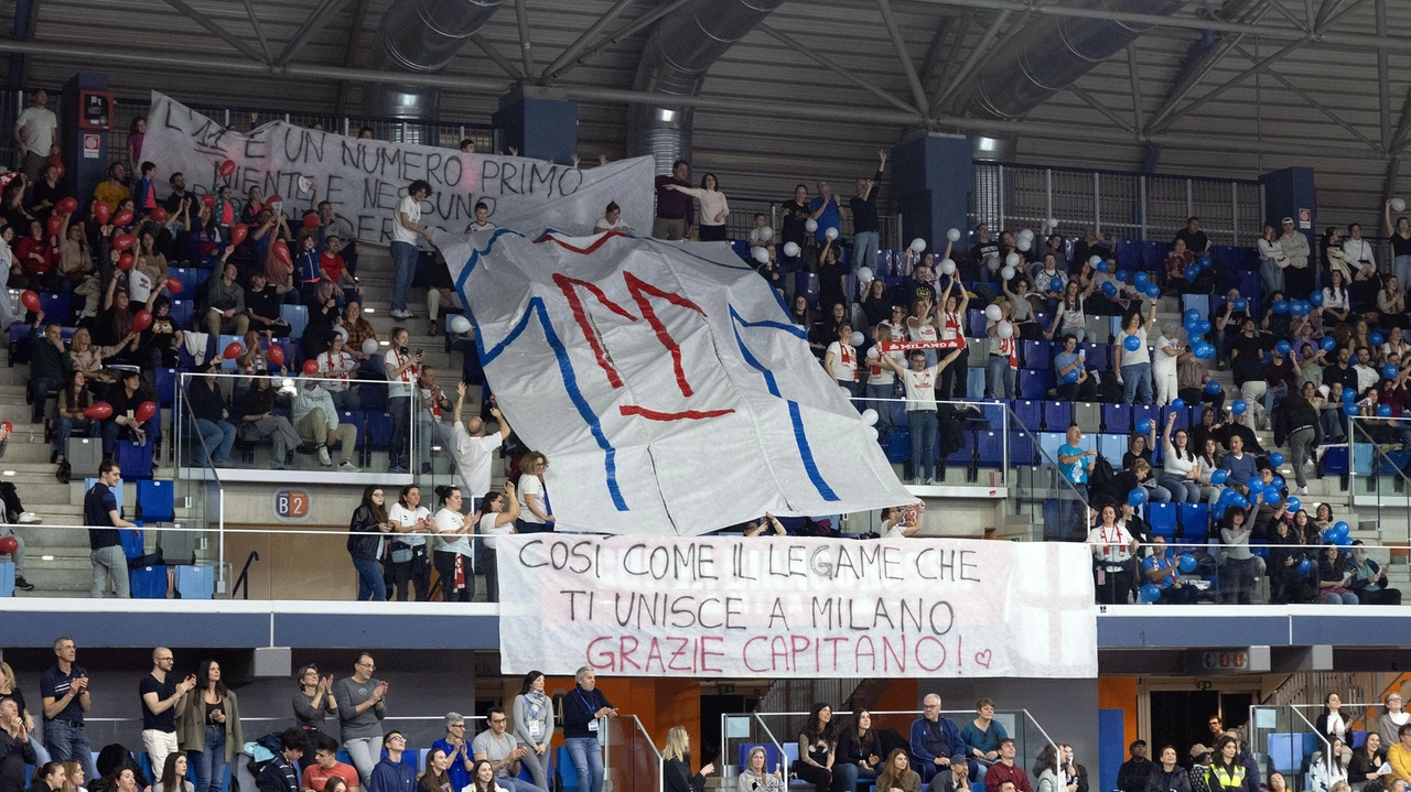 Applausi, cori e passione: l’atmosfera unica di un campo da volley pieno di tifosi Applausi, cori e passione: l’atmosfera unica di un campo da volley pieno di tifosi