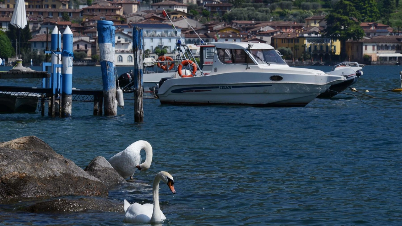 La Guardia di Finanza intensifica i controlli sui laghi di Garda e Iseo per contrastare comportamenti illegali che minacciano la sicurezza dei bagnanti e della navigazione. Sanzioni e sequestri per garantire laghi sicuri durante l'estate. La Guardia di Finanza intensifica i controlli sui laghi di Garda e Iseo per contrastare comportamenti illegali che minacciano la sicurezza dei bagnanti e della navigazione. Sanzioni e sequestri per garantire laghi sicuri durante l'estate.