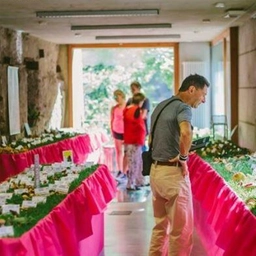 Torna il re del bosco . Apre Fungolandia. Nove giorni di festa