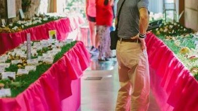 Un evento nel calendario di Fungolandia