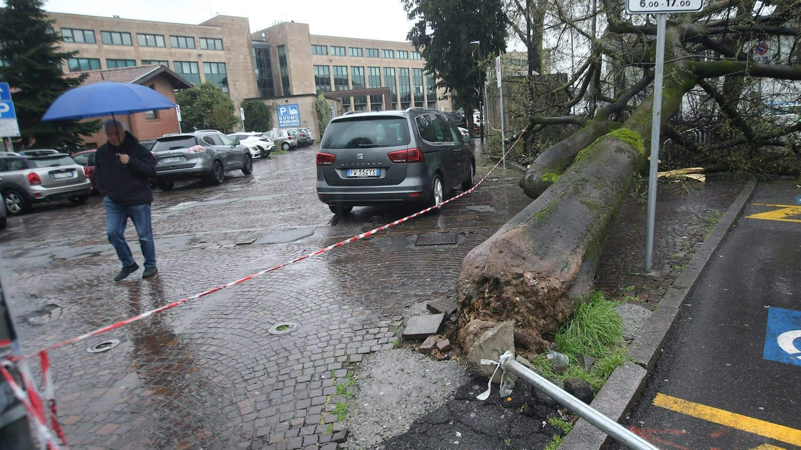 Un albero di alto fusto cade improvvisamente a Monza, danneggiando un'auto ma senza ferire persone. Intervengono polizia locale e vigili del fuoco per rimuoverlo. Assessora alla Viabilità presente.