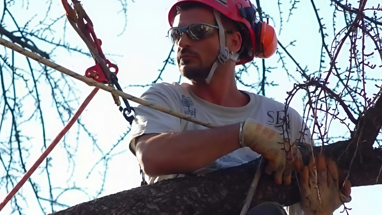 Fabio Castelli membro della Società italiana arboricoltura insegna agli allievi della Scuola agraria del Parco di Monza Fabio Castelli membro della Società italiana arboricoltura insegna agli allievi della Scuola agraria del Parco di Monza