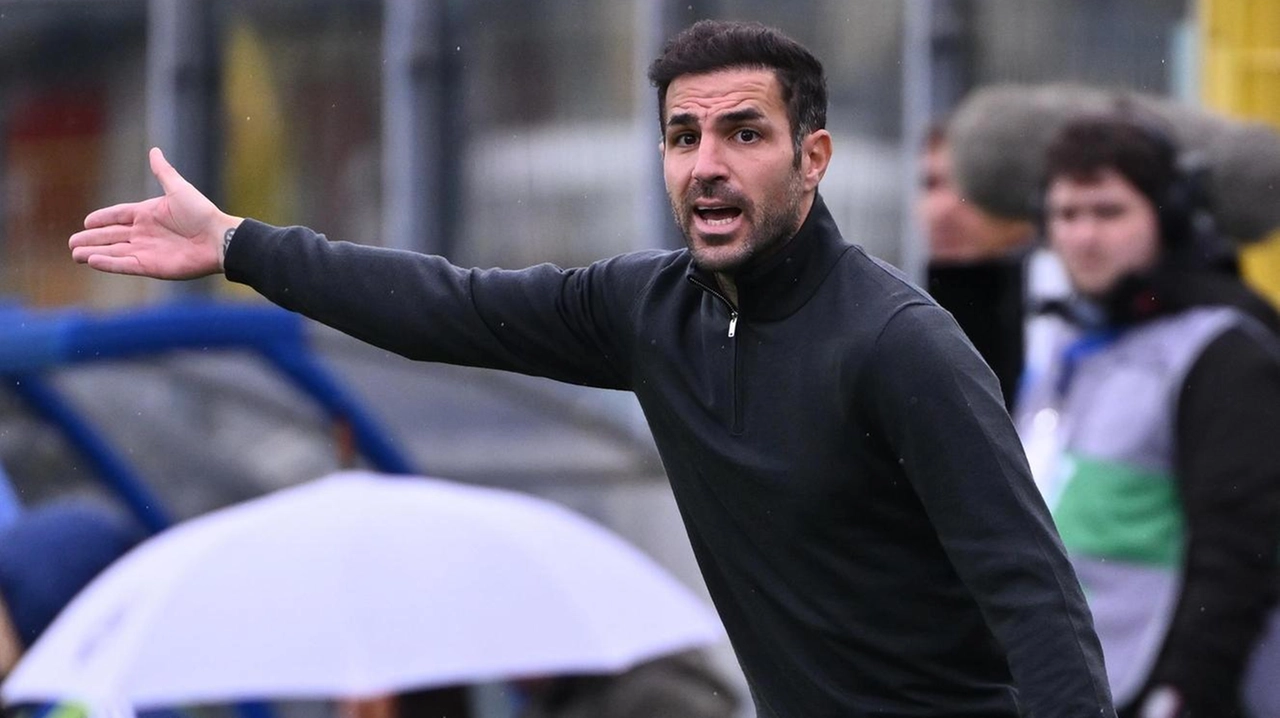 Per tanti colleghi e addetti ai lavori, l’allenatore del Como è un “predestinato“. Piace al Diavolo e non solo. Il club per storia, cultura e tradizione ha sempre ricercato il bel gioco, quello che Cesc vuole dai suoi calciatori. Per tanti colleghi e addetti ai lavori, l’allenatore del Como è un “predestinato“. Piace al Diavolo e non solo. Il club per storia, cultura e tradizione ha sempre ricercato il bel gioco, quello che Cesc vuole dai suoi calciatori.