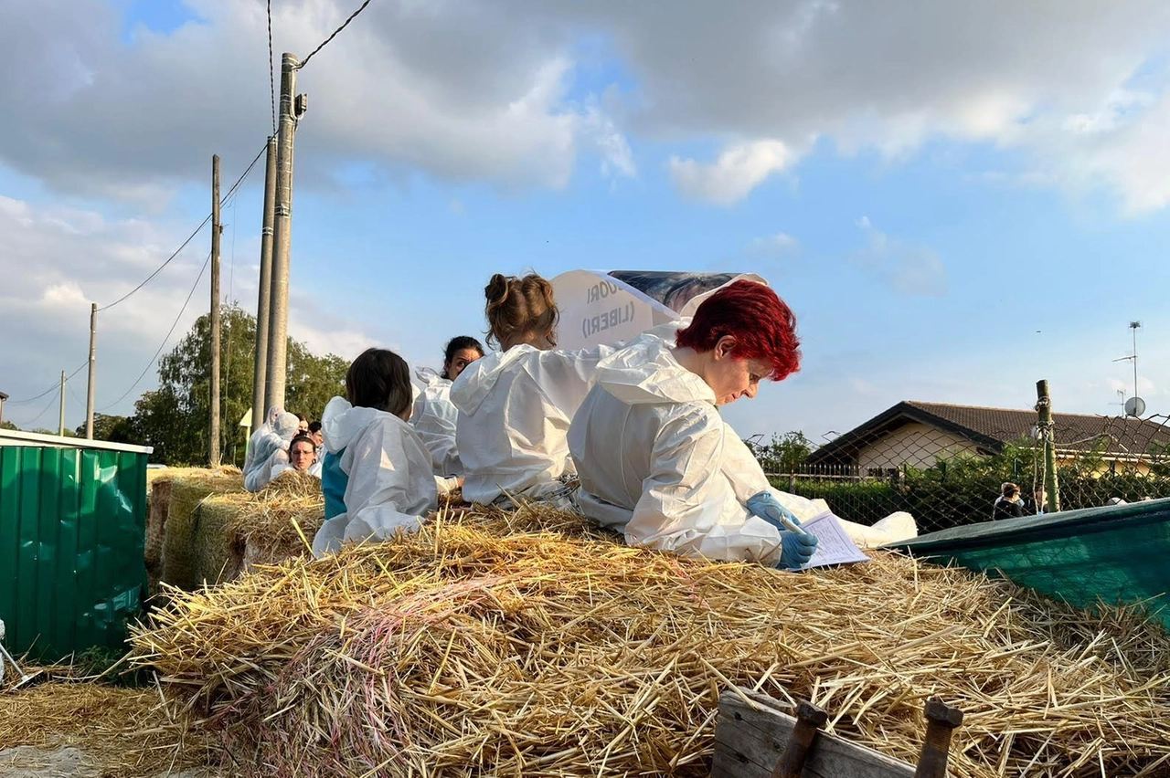ll presidio si rafforza: "No al massacro dei suini". Attivisti barricati nel rifugio