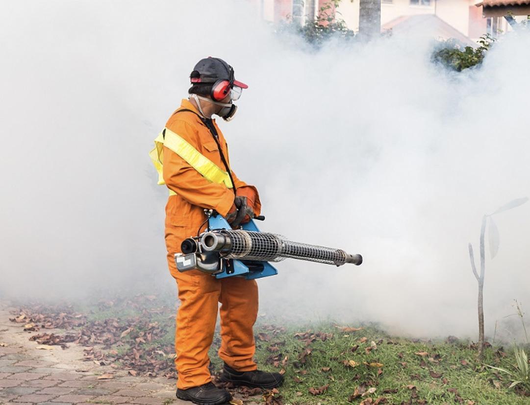 Caso di virus Chikungunya a Como: scatta la disinfestazione. Quali sono i sintomi Caso di virus Chikungunya a Como: scatta la disinfestazione. Quali sono i sintomi