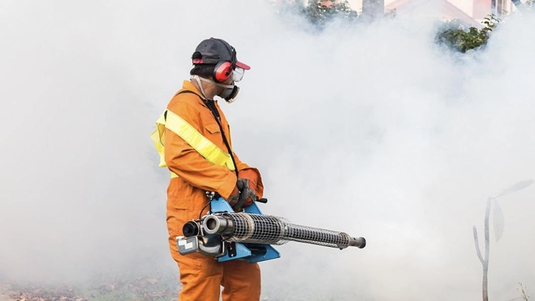 Disinfestazione straordinaria
