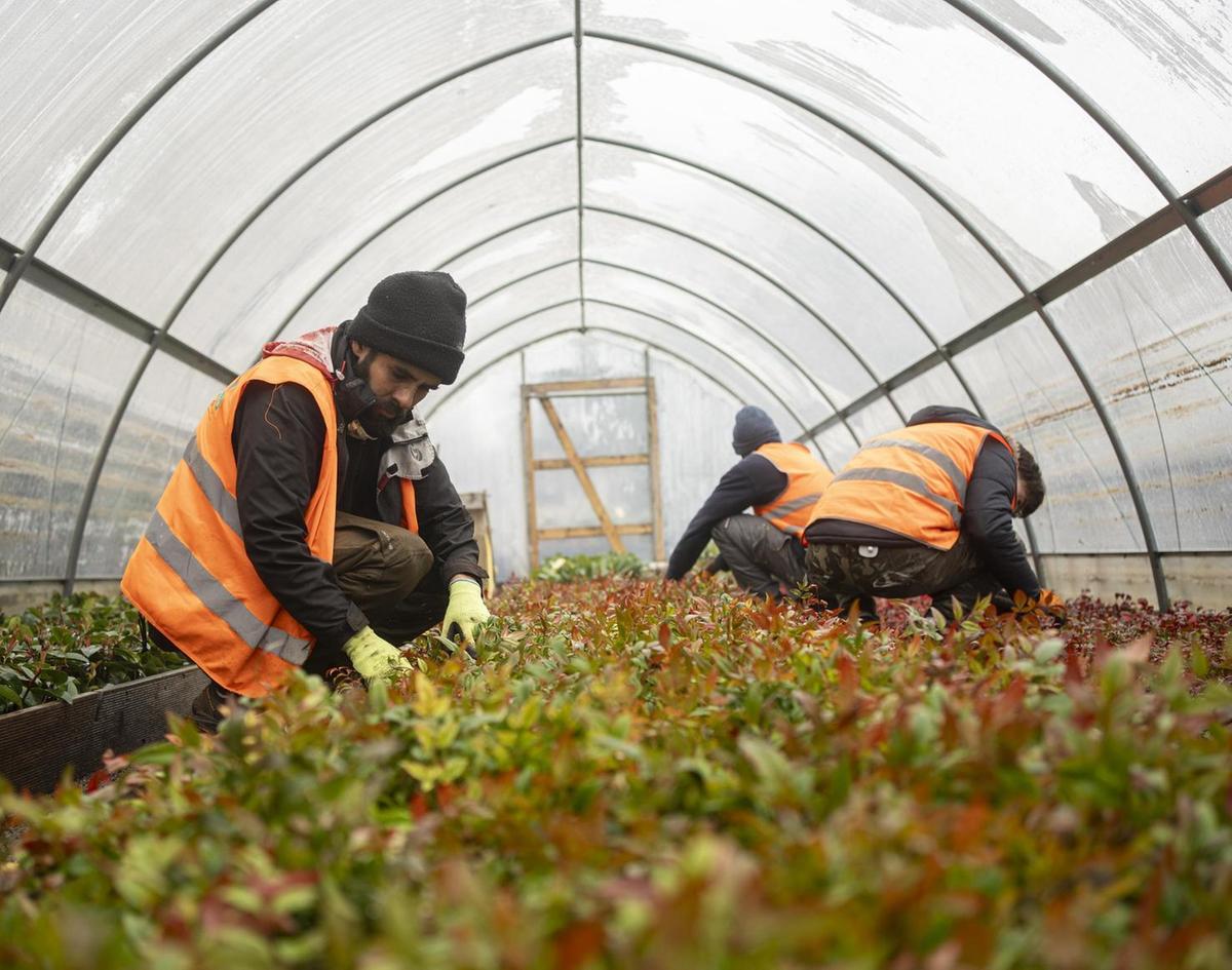 Il progetto contro il disagio giovanile . L’inclusione si coltiva tra serre e orti Il progetto contro il disagio giovanile . L’inclusione si coltiva tra serre e orti