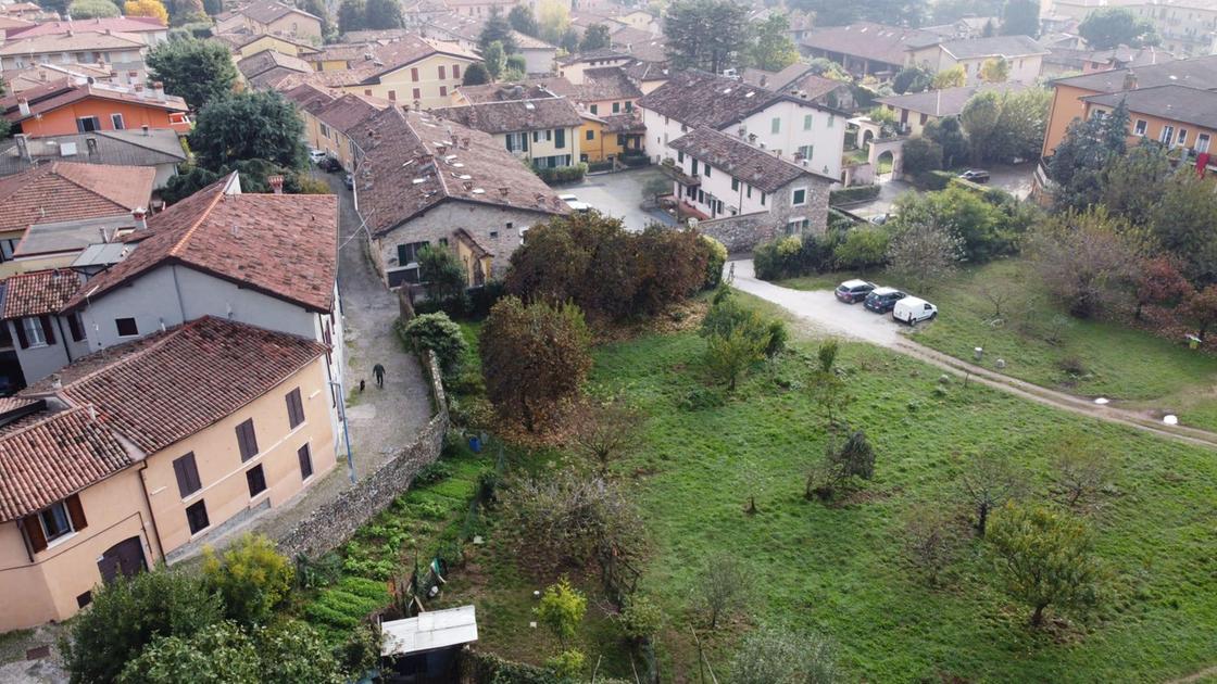 I gelsi? "Non monumentali": "Disattenzione o scelta voluta?" I gelsi? "Non monumentali": "Disattenzione o scelta voluta?"