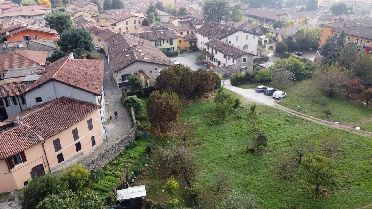Il filare di gelsi in via Campiani a Urago Mella L’abbattimento serve a far posto a un complesso edilizio contro cui è nato un comitato Il filare di gelsi in via Campiani a Urago Mella L’abbattimento serve a far posto a un complesso edilizio contro cui è nato un comitato