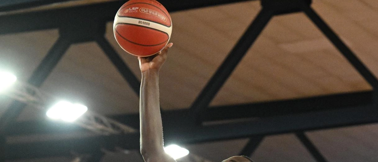 BluBasket grandi colpi. Harrison e Hogue di lusso. La Bergamo a spicchi punta alla promozione