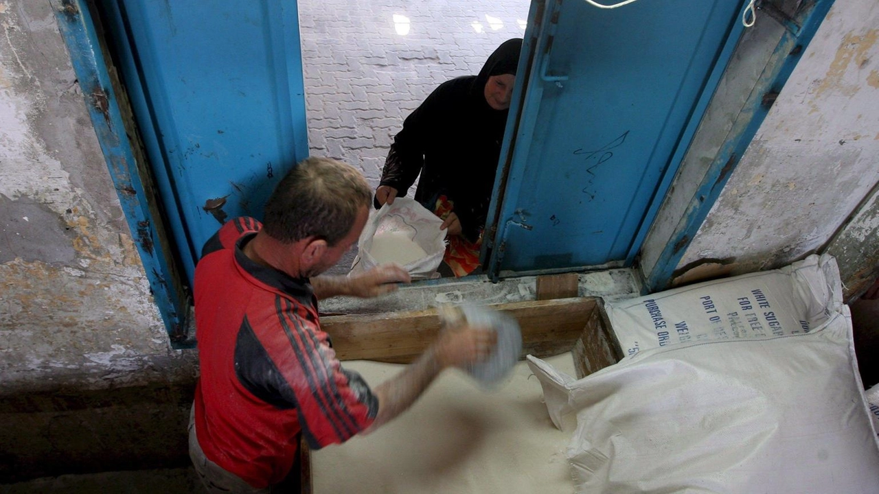 Israele deve semplificare le procedure di controllo per gli aiuti umanitari destinati a Gaza, dove la situazione umanitaria "rimane catastrofica":... Israele deve semplificare le procedure di controllo per gli aiuti umanitari destinati a Gaza, dove la situazione umanitaria "rimane catastrofica":...