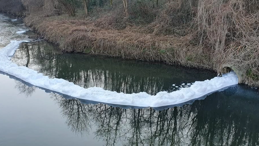 La foto dello sversamento nel fiume Olona La foto dello sversamento nel fiume Olona