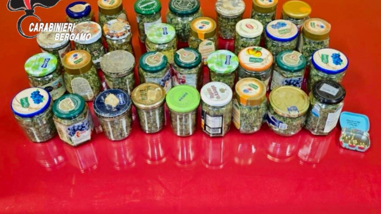 Ai carabinieri che si sono presentati a casa sua ha spiegato che la marijuana, scoperta nella taverna della sua villetta,... Ai carabinieri che si sono presentati a casa sua ha spiegato che la marijuana, scoperta nella taverna della sua villetta,...