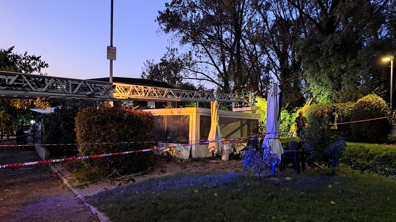 La pianta caduta sul dehors in Piarda Ferrari La pianta caduta sul dehors in Piarda Ferrari