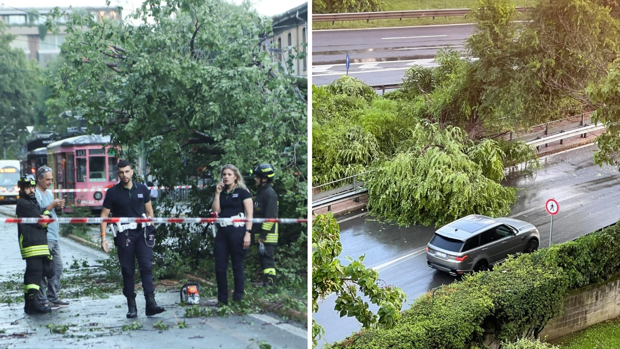 Milano flagellata da una bomba d'acqua e da raffiche di vento: alberi caduti in tutta la città