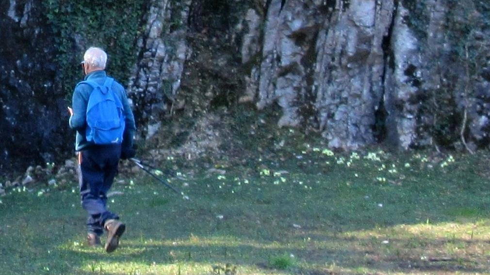 La Comunità Montana Valli del Verbano propone quattro domeniche di passeggiate nella natura per famiglie, alla scoperta del patrimonio artistico e paesaggistico del territorio. Itinerari guidati da esperti per valorizzare la cultura e la bellezza del luogo. Prossimi appuntamenti in primavera 2025. La Comunità Montana Valli del Verbano propone quattro domeniche di passeggiate nella natura per famiglie, alla scoperta del patrimonio artistico e paesaggistico del territorio. Itinerari guidati da esperti per valorizzare la cultura e la bellezza del luogo. Prossimi appuntamenti in primavera 2025.