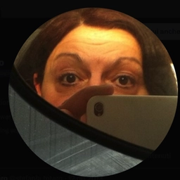 Stefania Totaro, Giornalista Professionista