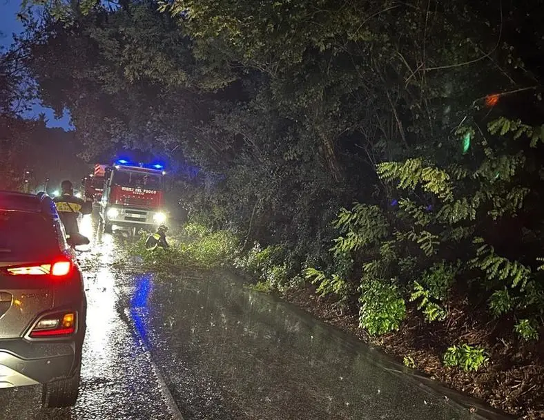 Maltempo a Varese: alberi sulla carreggiata, chiusa la Ss 233 a Valganna