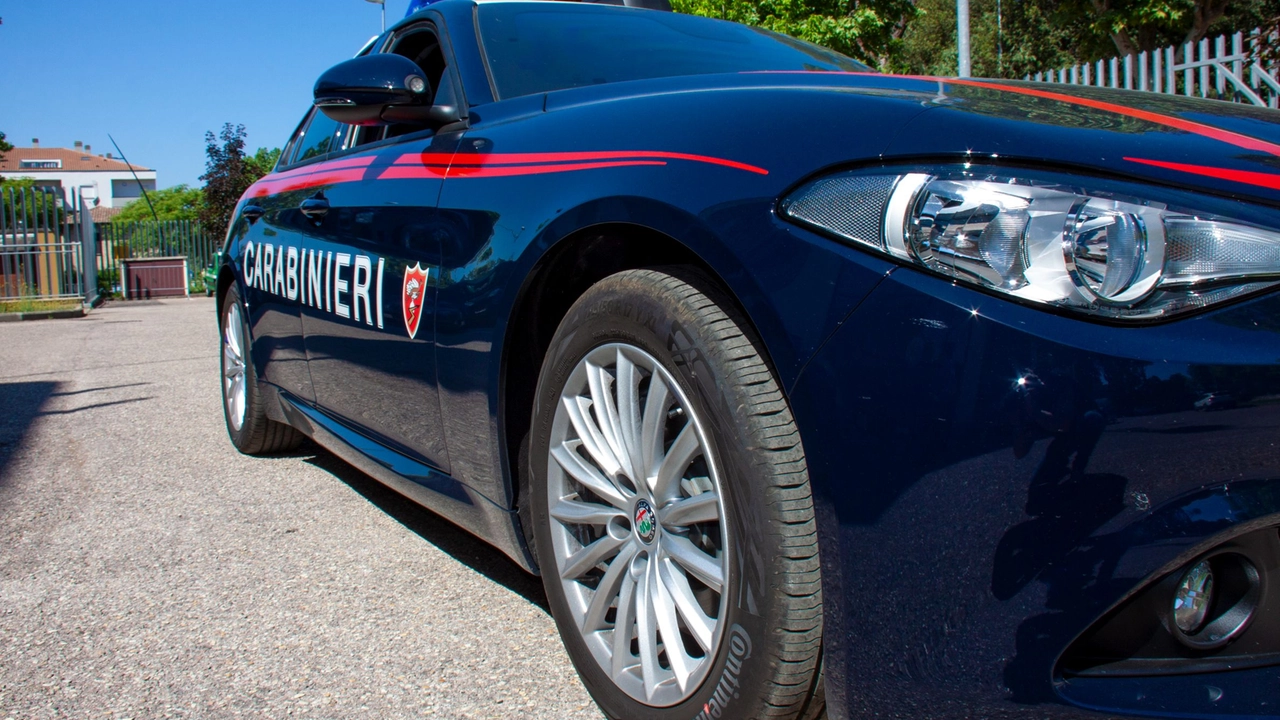 I Carabinieri hanno bloccato i due giovani georgiani che stavano rubando il carburante I Carabinieri hanno bloccato i due giovani georgiani che stavano rubando il carburante