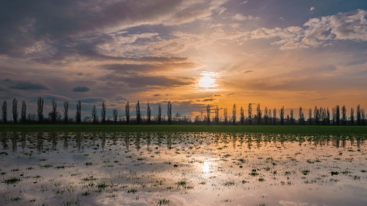 Il parco della Vettabbia, che sorge accanto a Chiaravalle (Foto Andrea Fasani)