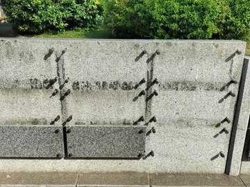 immagine articolo