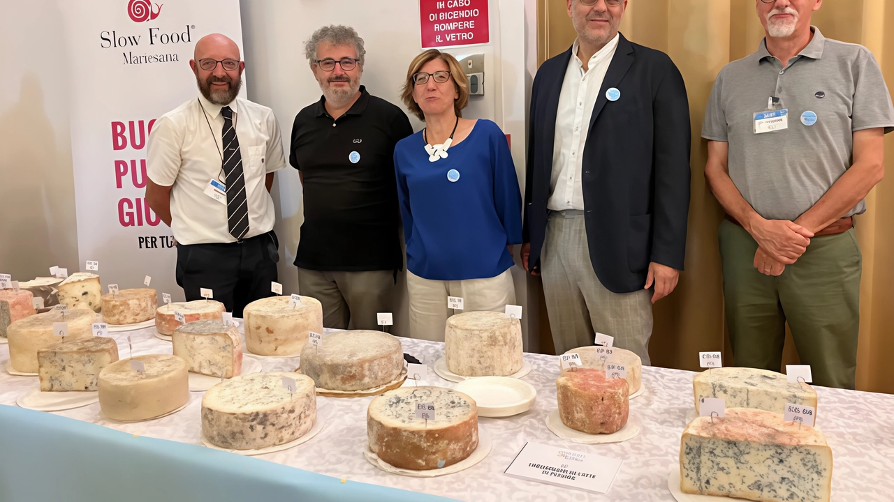 “L’antipasto” della Sagra del Gorgonzola (evento che si terrà il penultimo fine settimana di settembre) si chiama “Infiniti blu”: è un concorso caseario tutto dedicato ai formaggi erborinati. Si parte con gli assaggi, il gran finale a metà mese “L’antipasto” della Sagra del Gorgonzola (evento che si terrà il penultimo fine settimana di settembre) si chiama “Infiniti blu”: è un concorso caseario tutto dedicato ai formaggi erborinati. Si parte con gli assaggi, il gran finale a metà mese