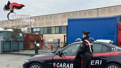 Dopo la prima incursione i carabinieri sono stati subito contattati e si sono precipitati sul posto per effettuare un sopralluogo con il titolare Dopo la prima incursione i carabinieri sono stati subito contattati e si sono precipitati sul posto per effettuare un sopralluogo con il titolare