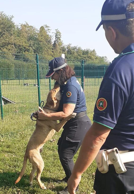 Legato a un albero senz’acqua né cibo. Cucciolone salvato dalla polizia locale
