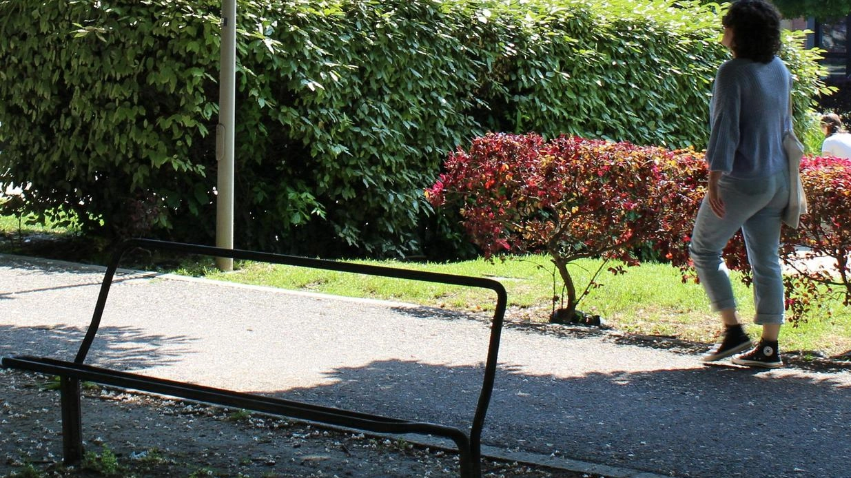 Lodi, sui Giardini solo scheletri. Proteste dei residenti